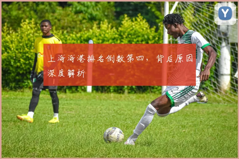 上海海港排名倒数第四，背后原因深度解析