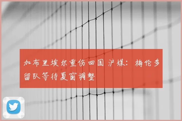 加布里埃尔重伤回国 沪媒：梅伦多留队等待夏窗调整