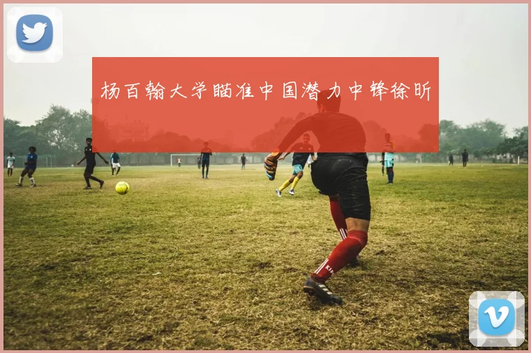 杨百翰大学瞄准中国潜力中锋徐昕